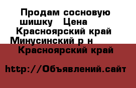 Продам сосновую шишку › Цена ­ 25 - Красноярский край, Минусинский р-н  »    . Красноярский край